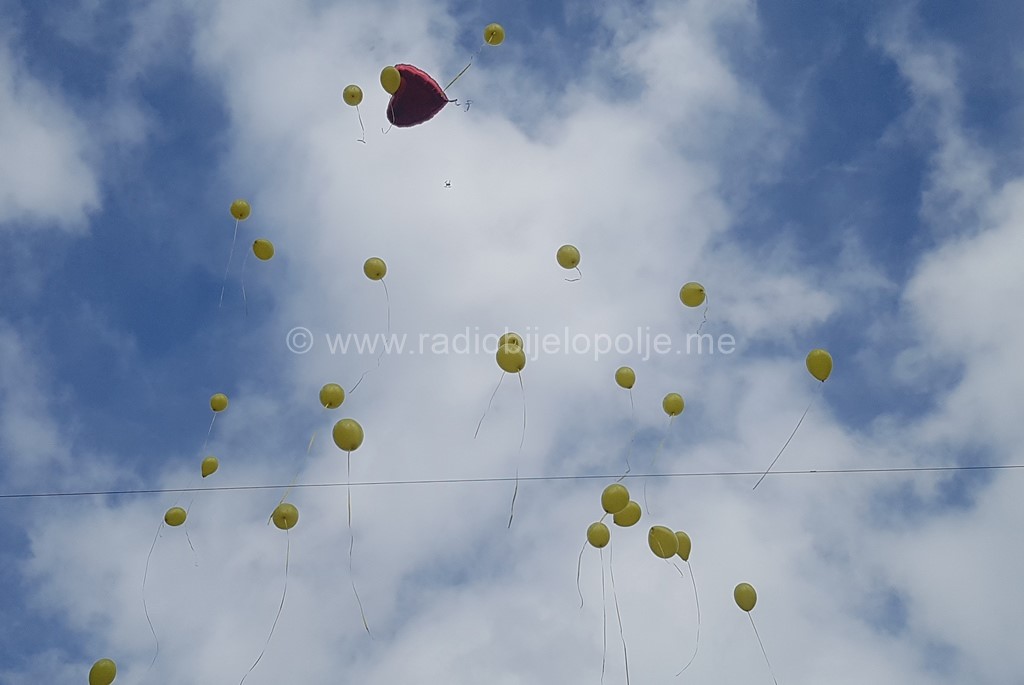 Foto: Dalibor Rakočević