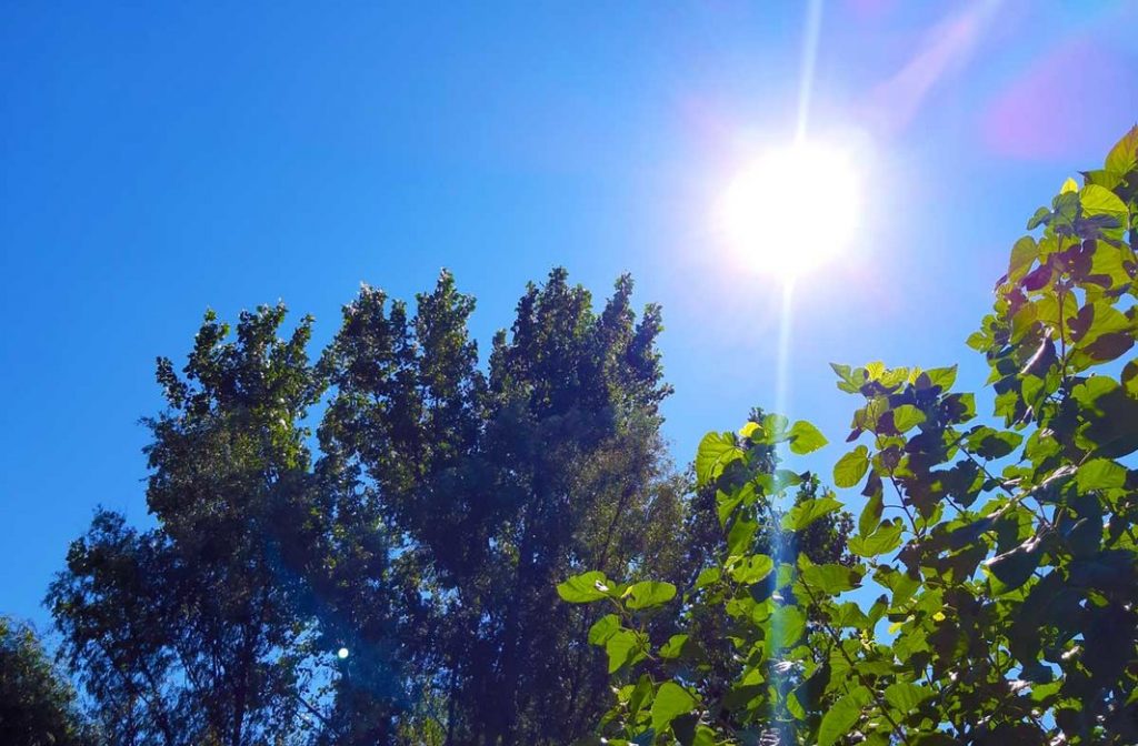 Foto: tvinfobosilegrad