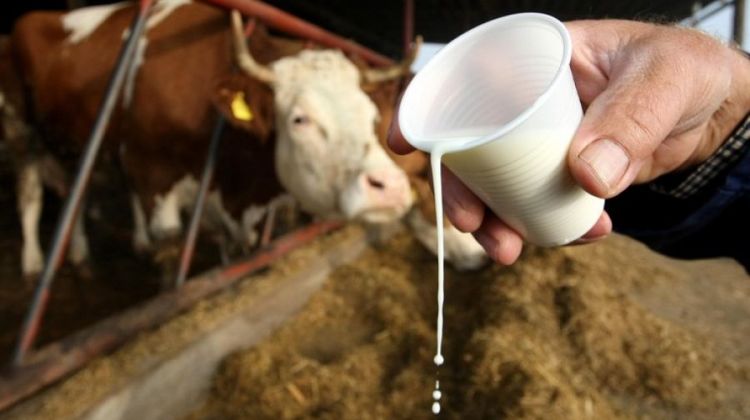 Foto: desavanjaubijeljini.com