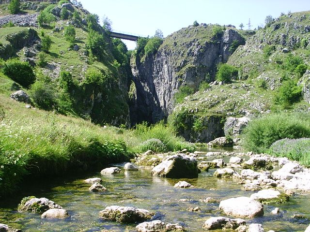 Foto: wikipedia.org