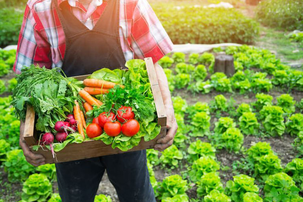 Foto: agrosavjet.com