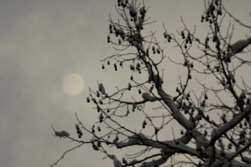 Foto: srpskainfo.com