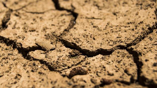 Ilustracija: Posledice suše - © Pixabay
