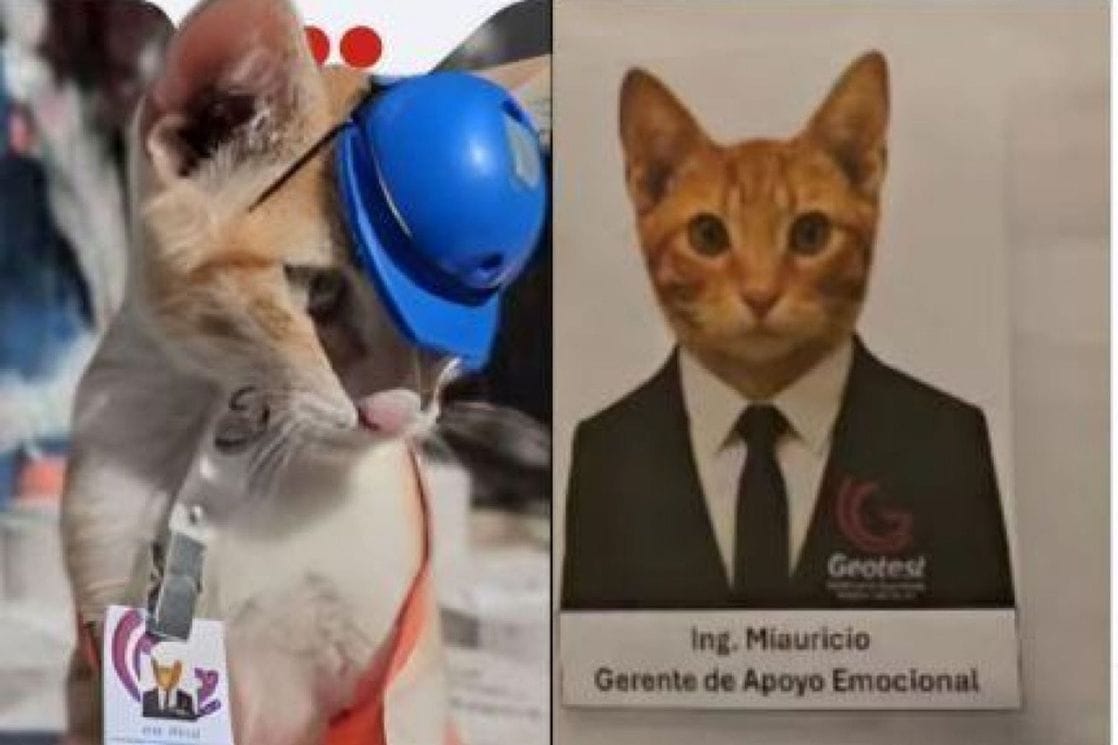 1769774638ppnjmm6zqvwvdhx8-i_1118x745