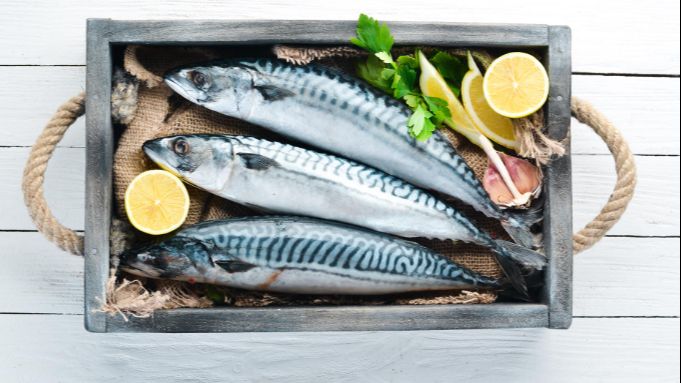 0c104bb3-48f9-4317-ba8d-91a2c3e98469