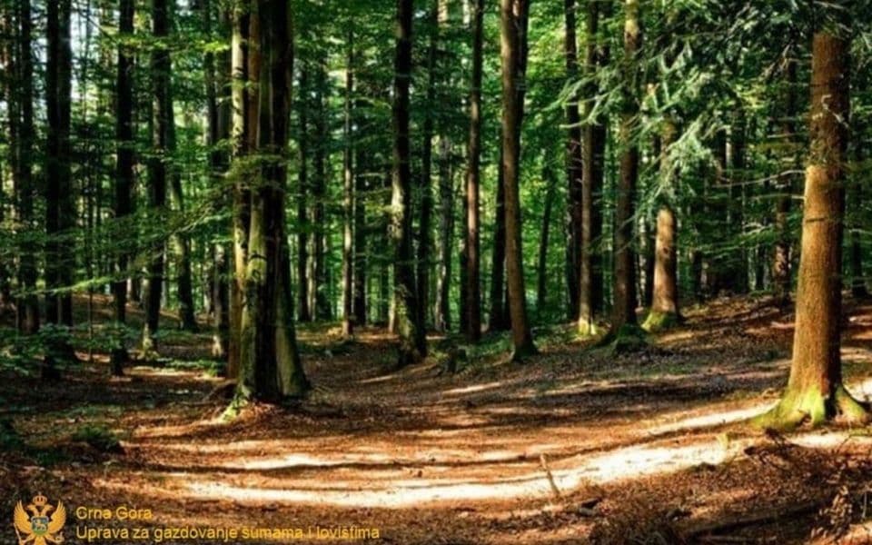 1718965984-foto-sume-2-i_960x600