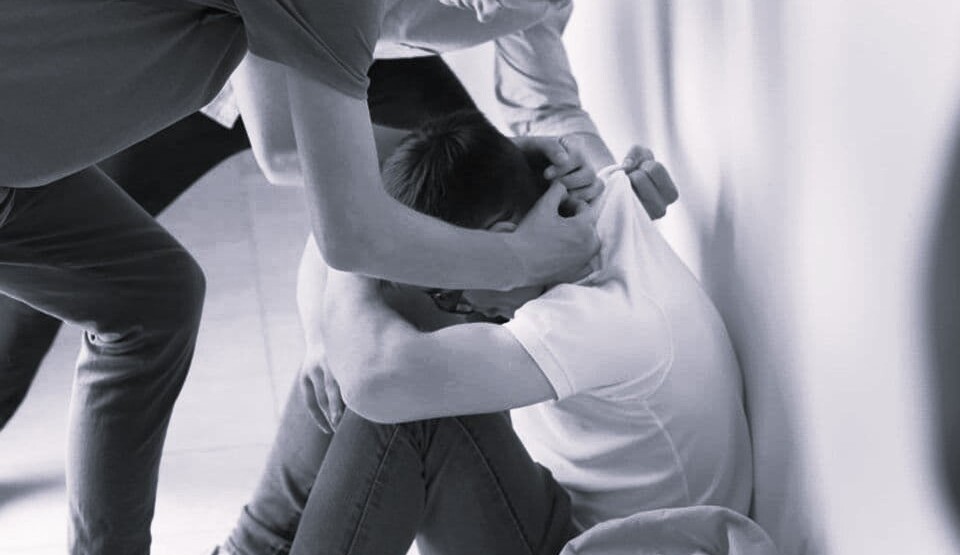 1728767915-vrsnjacko-nasilje-830x553-i_960x600-960x555