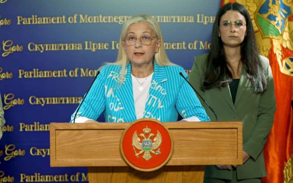 1755350093-aleksandra-despotovic-1000x555-i_960x600