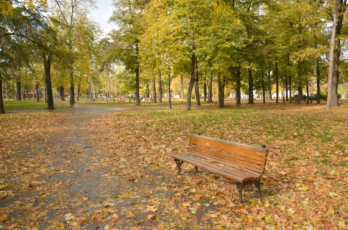 1764193804_1636058695-DSC_7408.format-avif