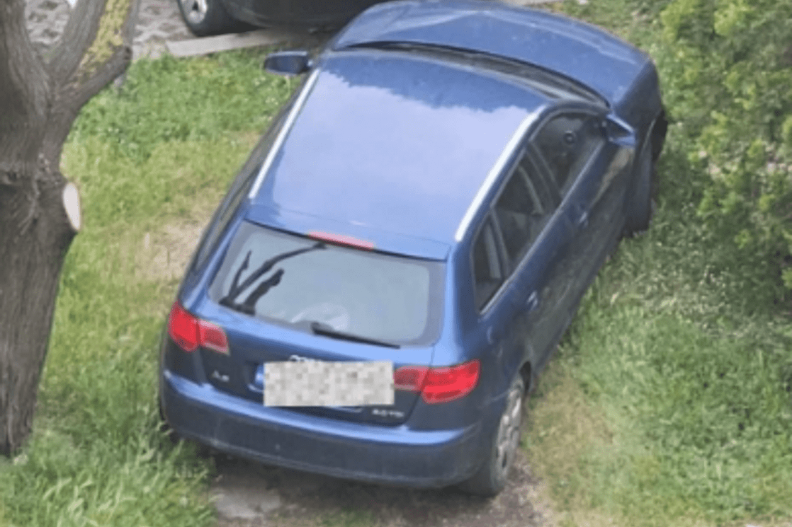 1776793374kzvlskhp76b3suqq-i_1118x745