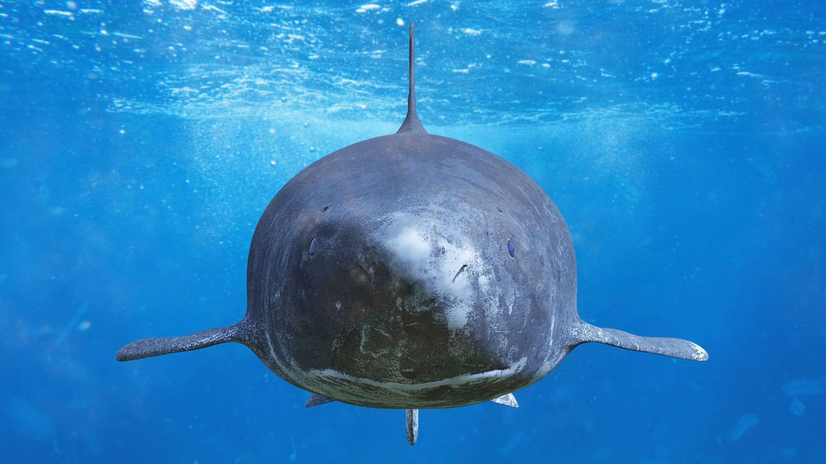 1776853803_profimedia-0401186507.format-avif