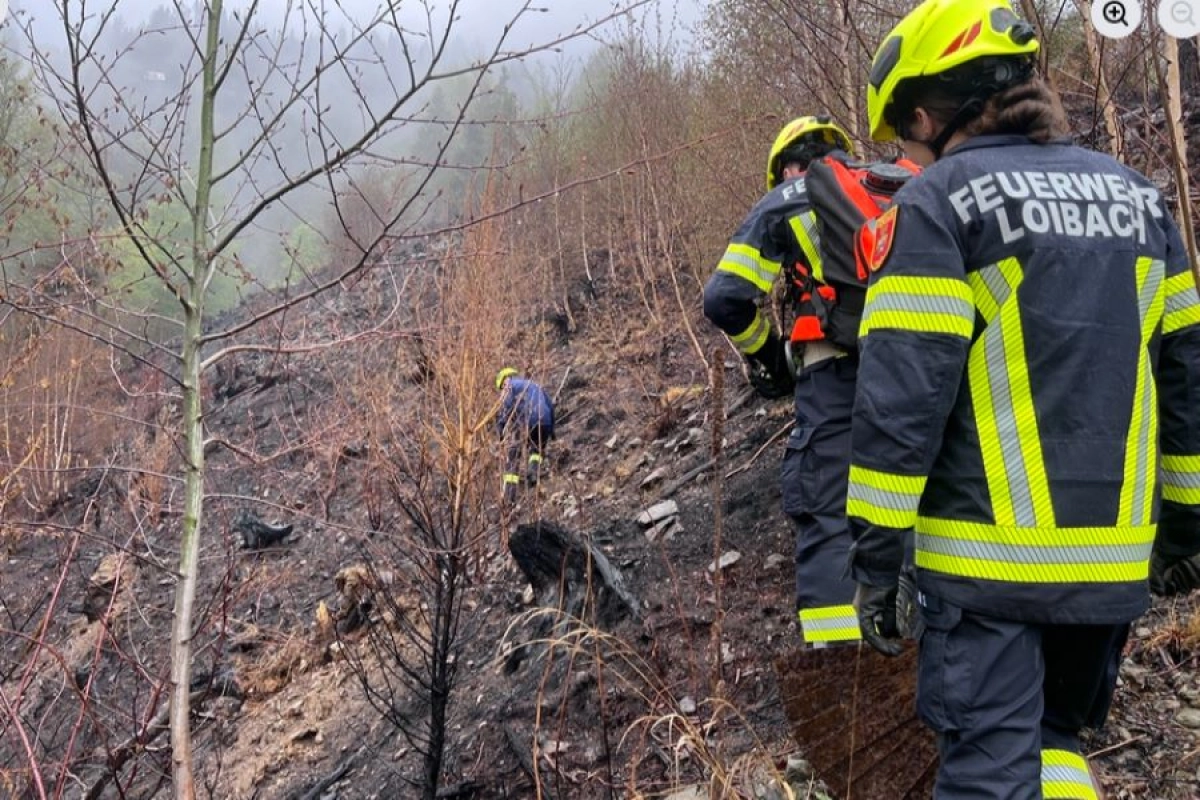 20260429222537_962882