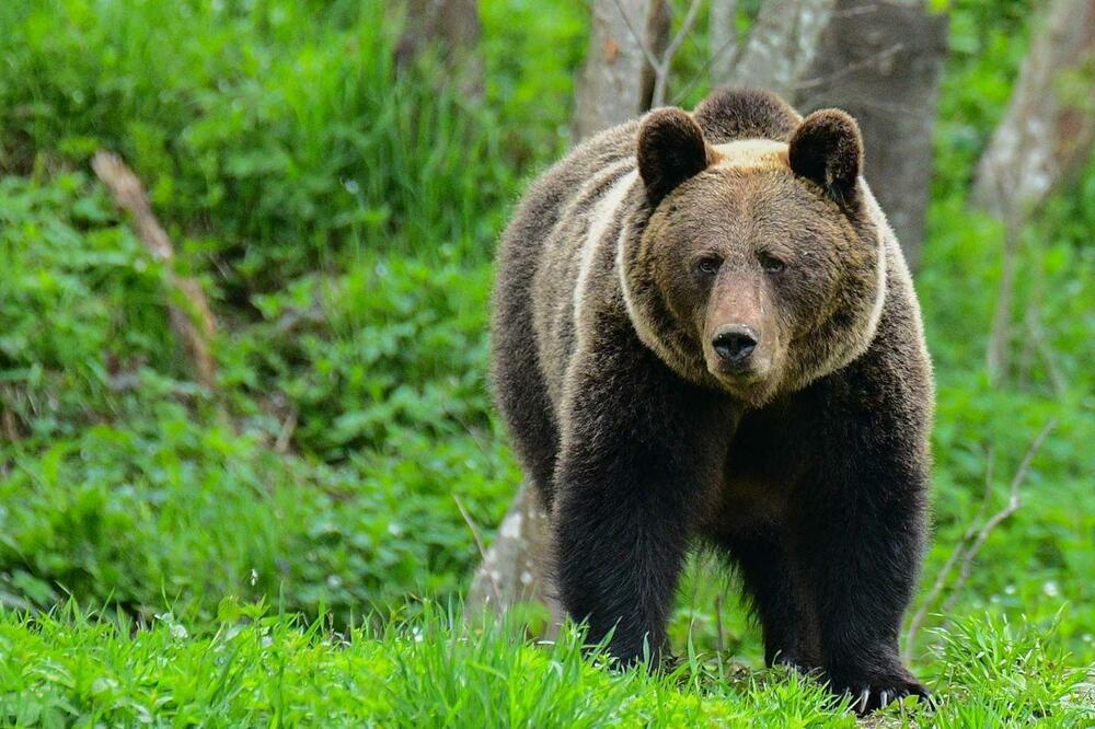 5721838_1c4c6bb0-3f2b-11f1-b9c3-8be9c0df6b27_ls