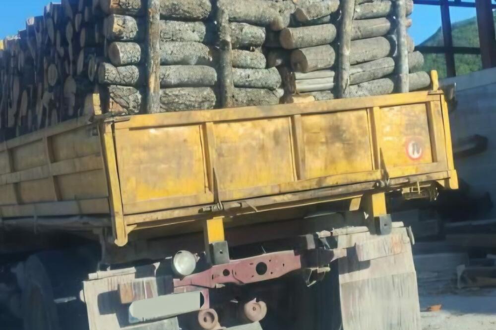 5723291_nk-kontrole_ls