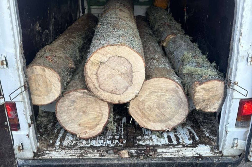 Berane-sumska-krada-e1776597043258-1024x678