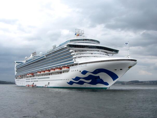 vise-od-100-putnika-oboljelo-na-kruzeru-caribbean-princess-od-norovirusa-caribbean-princess_69fe4ac356502