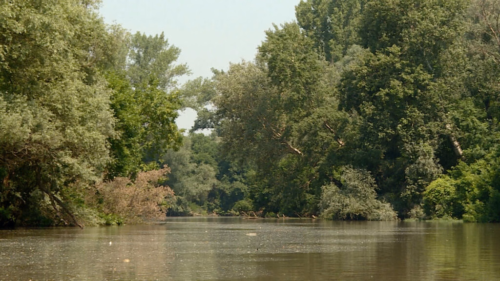 1693602386-tisa-reka-1024x576.format-avif