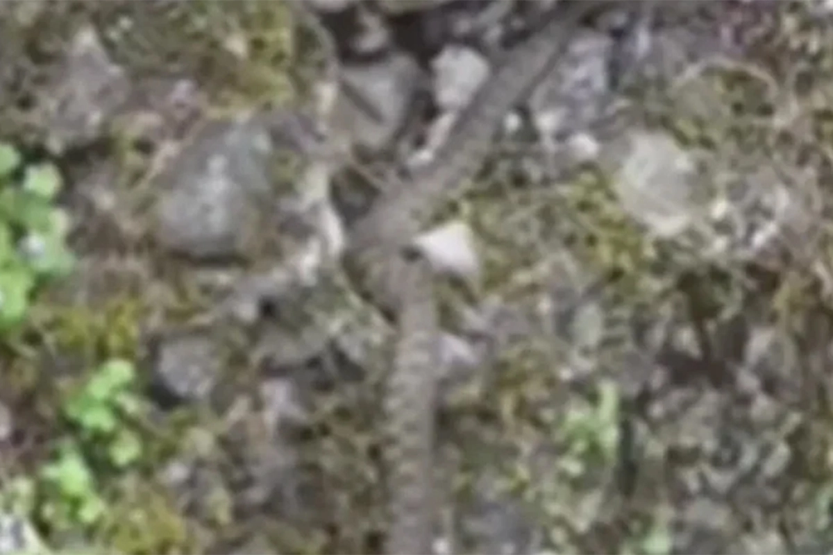20260605210854_968346