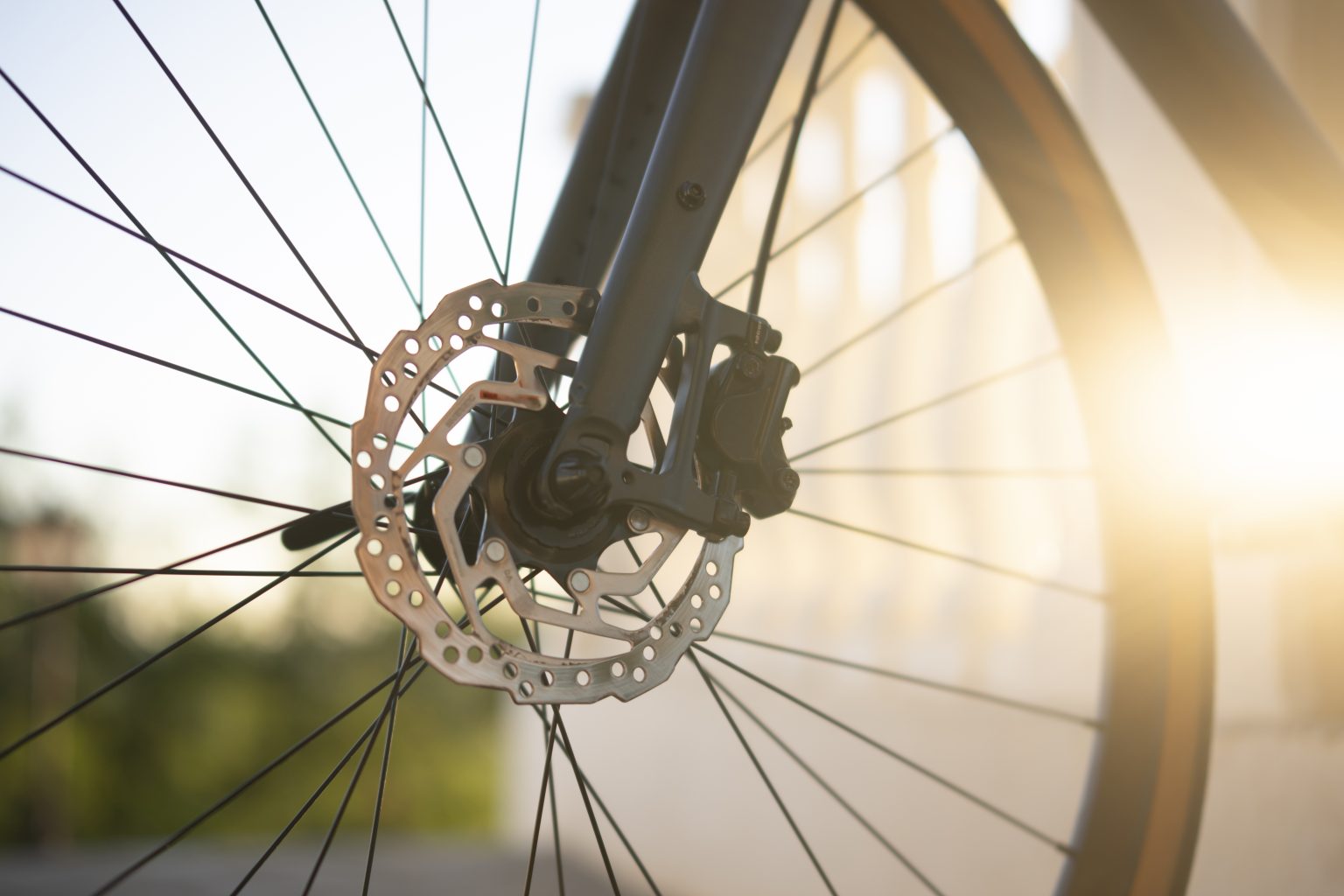 a-close-up-of-the-wheel-of-a-bicycle-showcasing-t-2026-03-17-03-35-22-utc-1536x1024