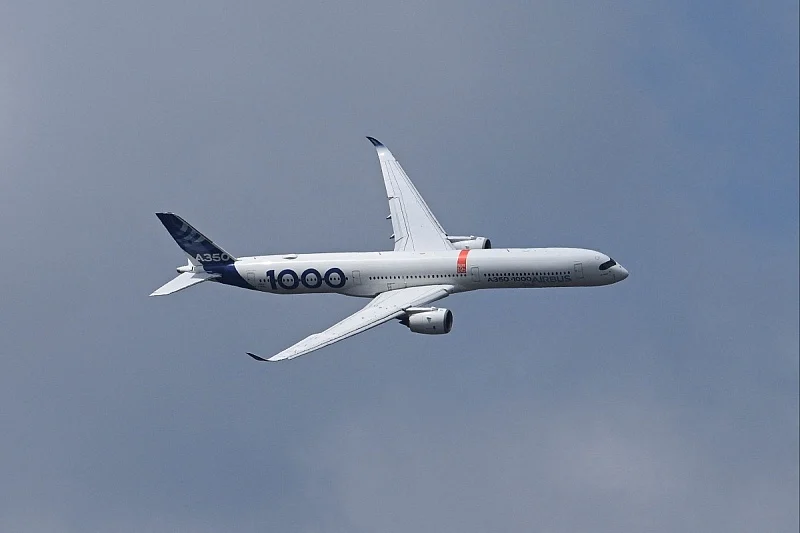 b_260729029