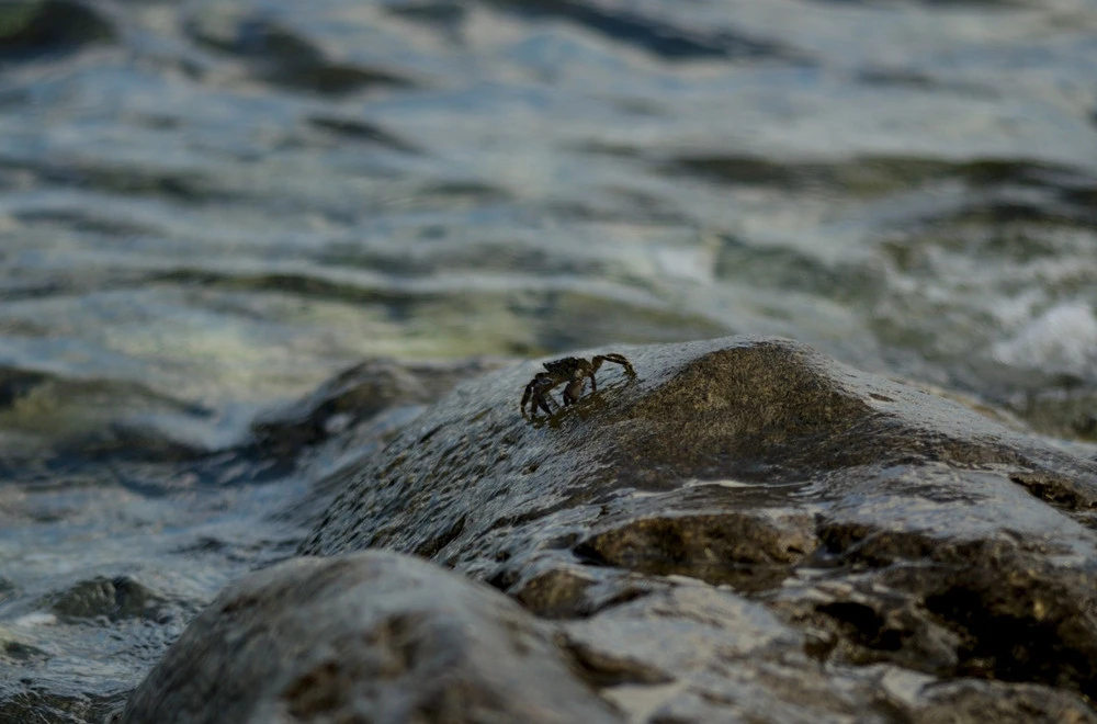 264747_shutterstock-2695553405_f