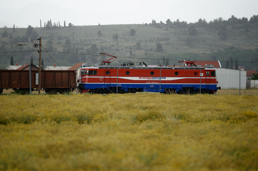 5753815_agrolajf-polje-smilja-59_ls