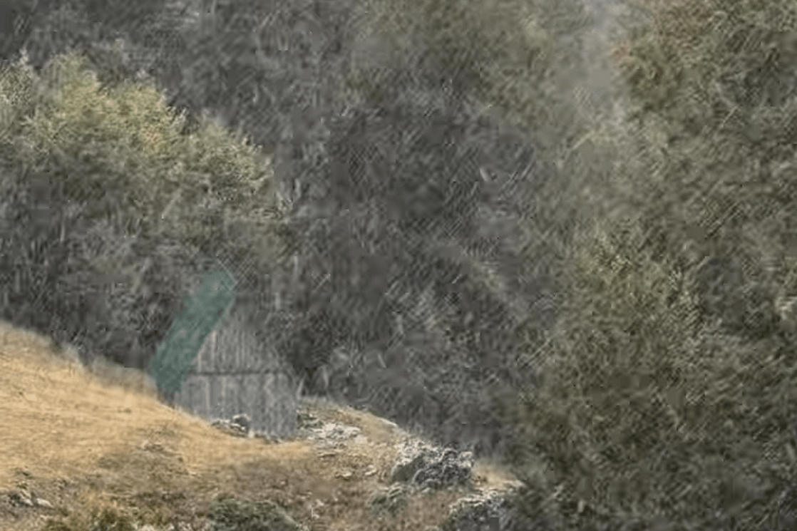 1790091414pzbybtzmiehrltk8-i_1118x745