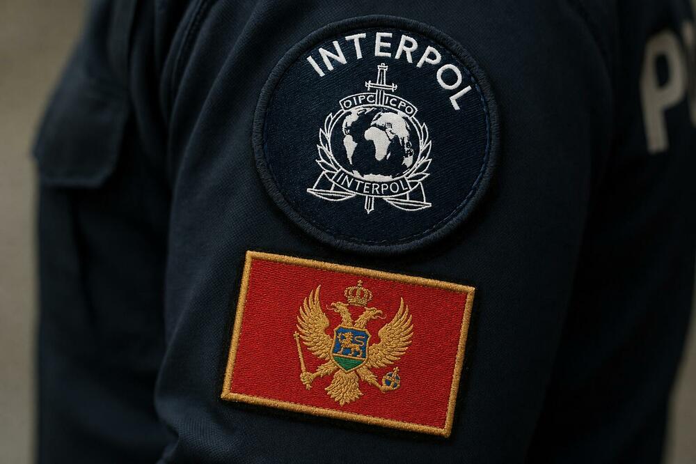 5756236_ncb-interpol_ls