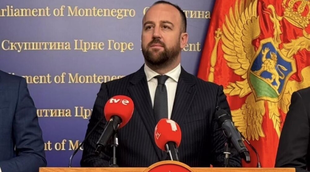 Nikolic-1000x555
