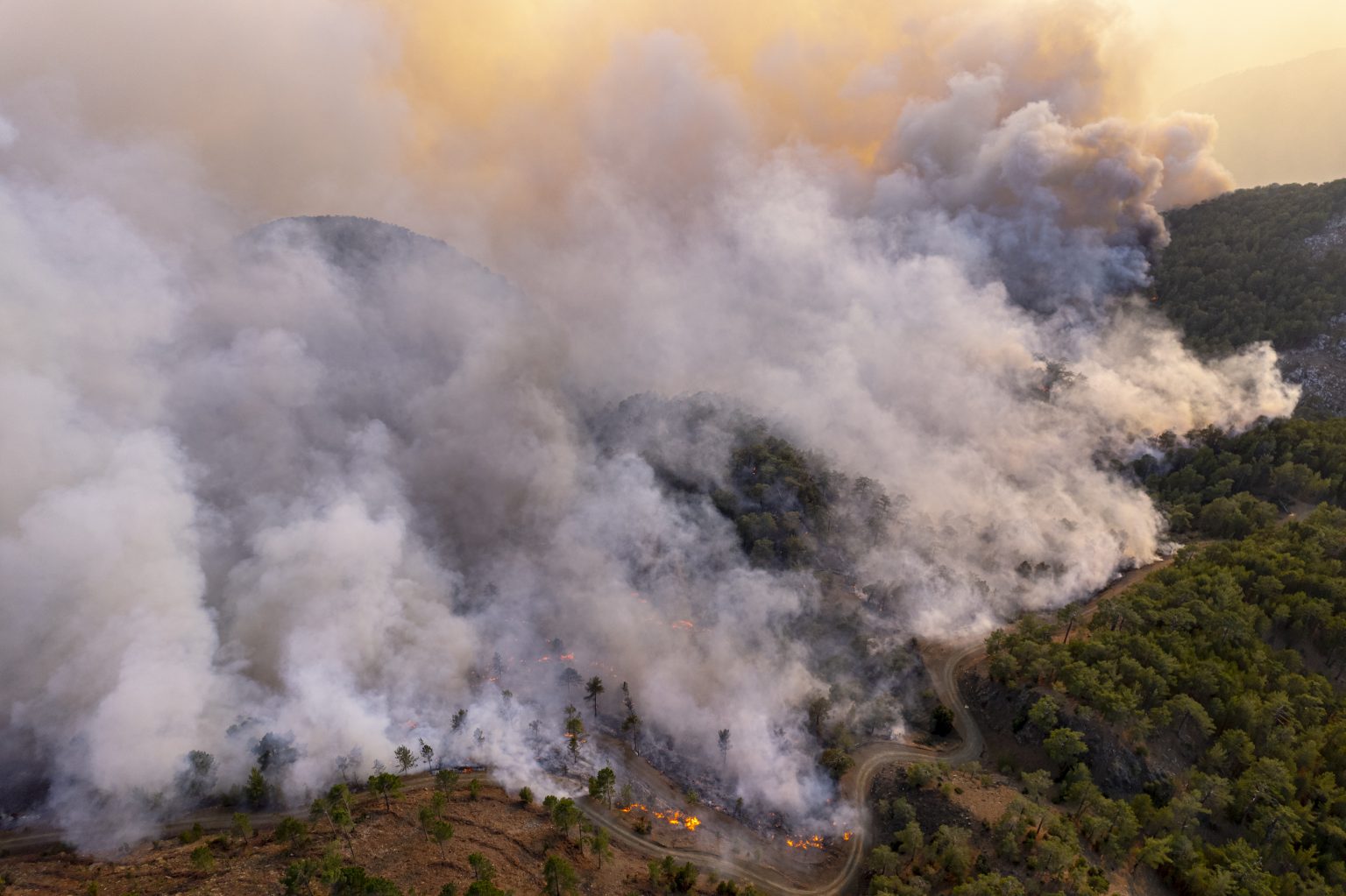 big-forest-fire-2026-03-13-05-55-27-utc-1536x1023