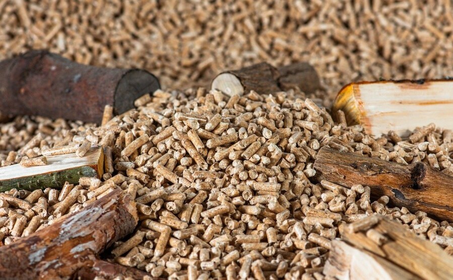 pellet-8534567_1280_599x900-899x555