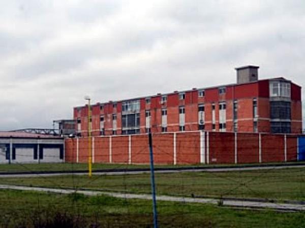 ziks-1