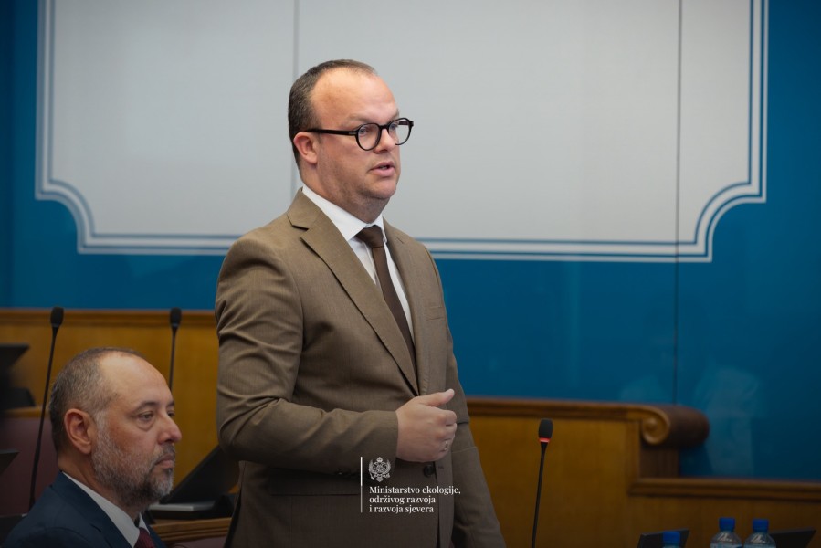 ĆULAFIĆ_600x900