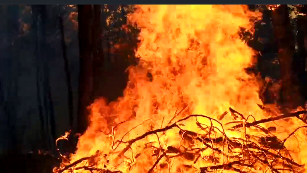 Pozar-Ponikvice-Niksic-Screenshot