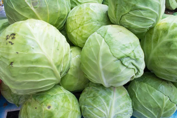 depositphotos_27147721-stock-photo-cabbage